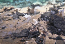 Temuan Mengejutkan Ilmuwan China di Kawah Raksasa Dasar Laut